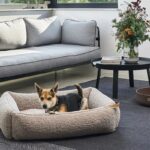 Design di interni per animali domestici 5 brand pet-friendly per un interior design elegante