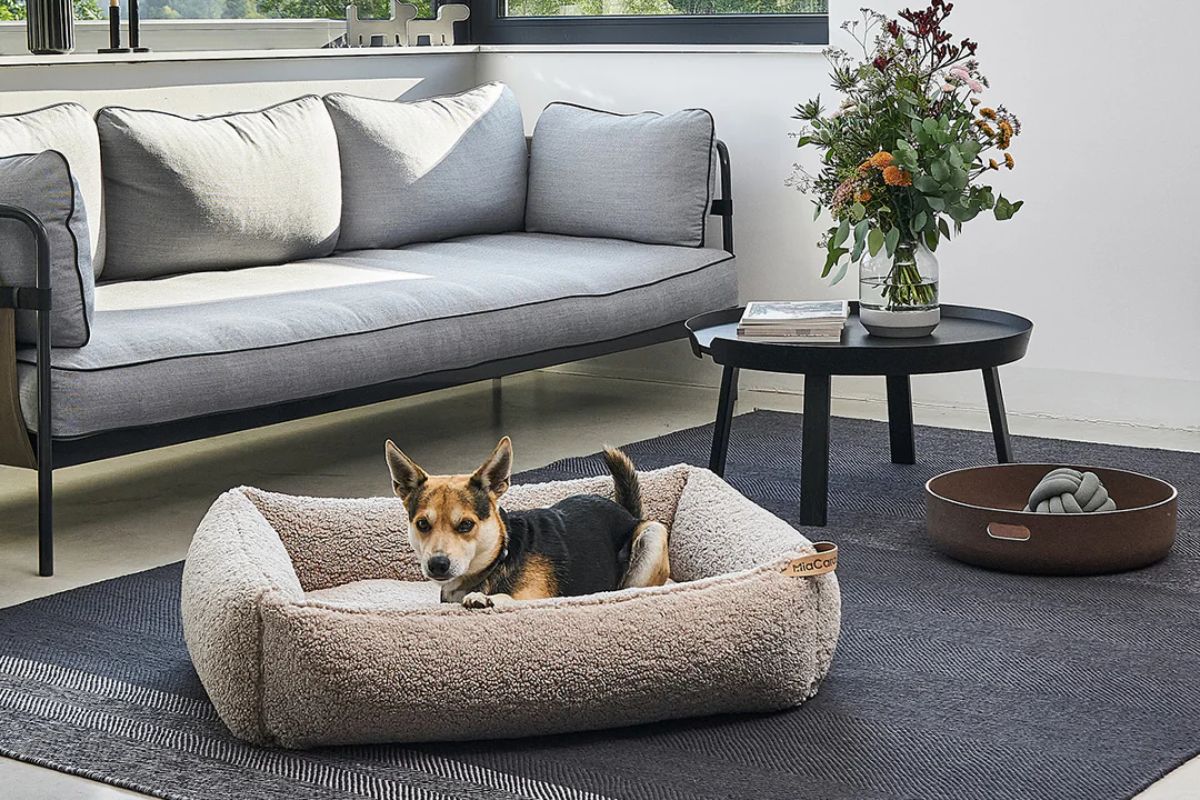 Design di interni per animali domestici 5 brand pet-friendly per un interior design elegante