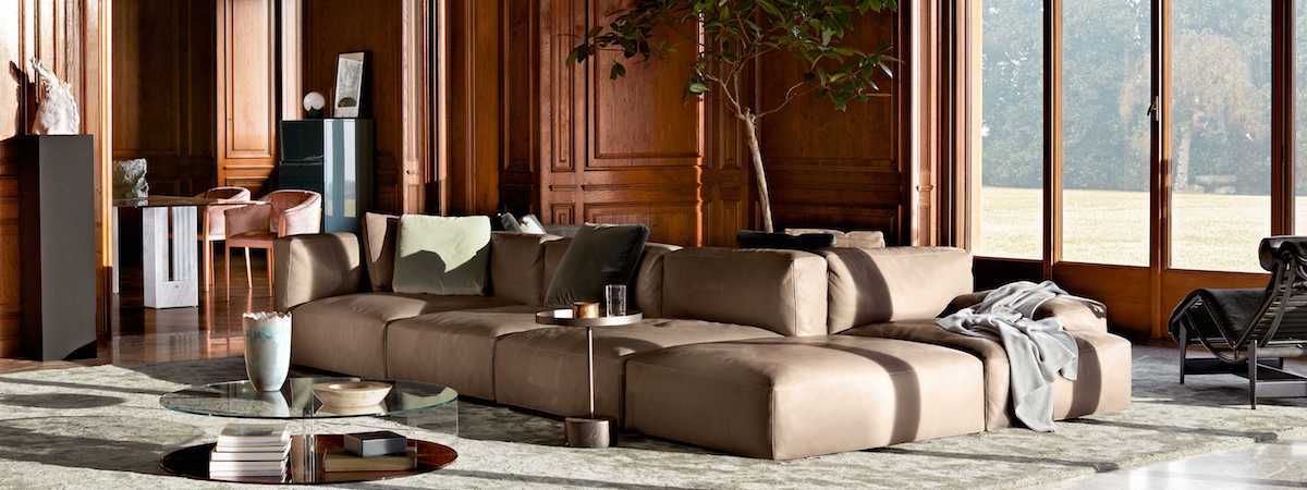 Immagine in evidenza