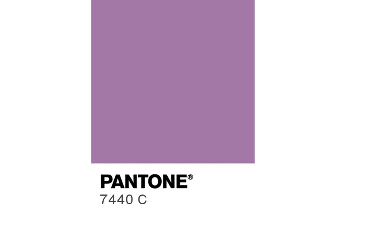 7440 C colore lilla
