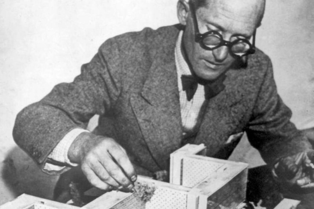 ville radieuse le corbusier