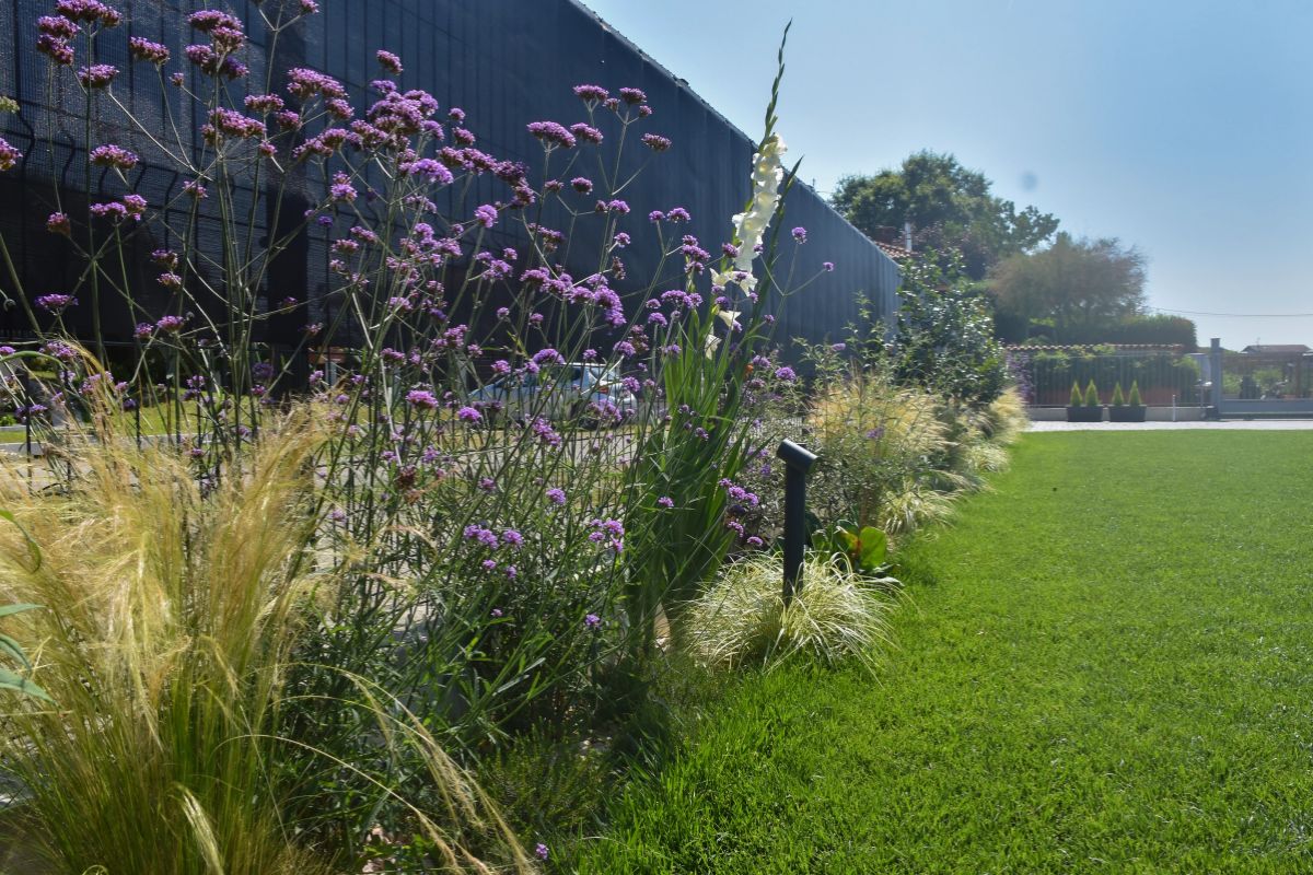 Laura noè green designer