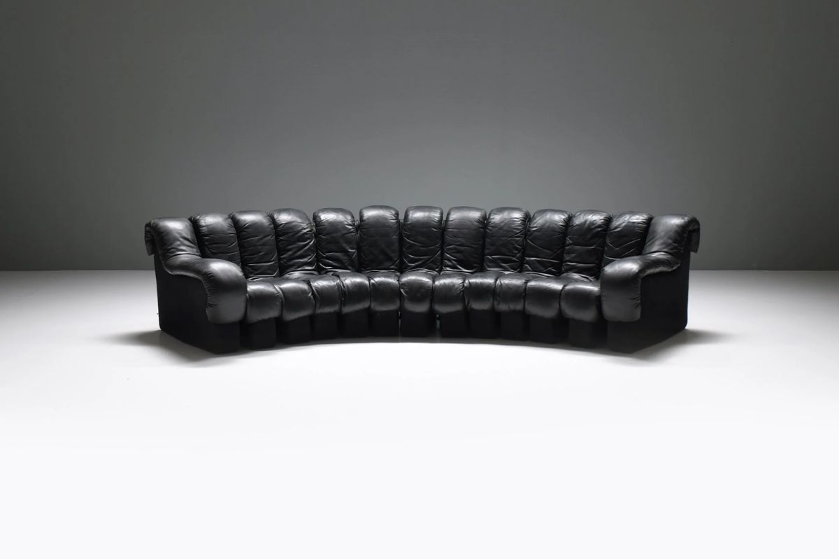 DS-600 “Snake Non Stop” (de Sede)