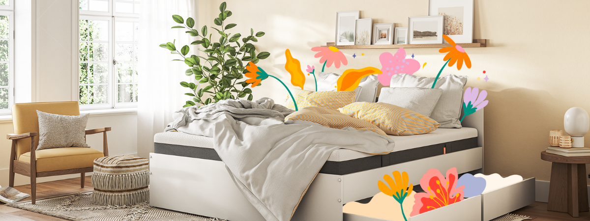 Immagine in evidenza