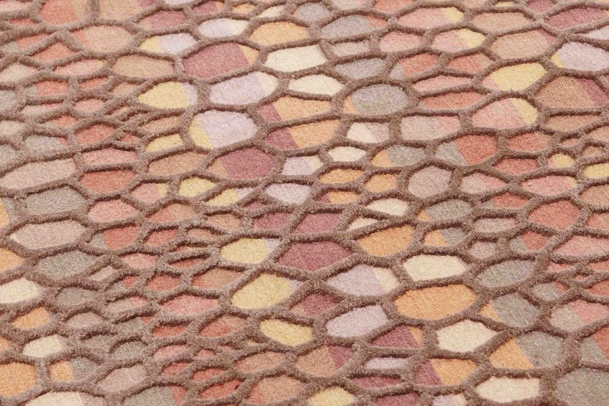 Nodus Rug Day by Day
