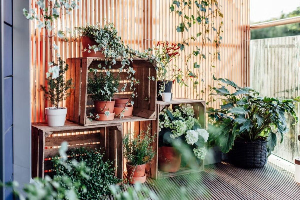 Balcony plants and vertical greenery design
