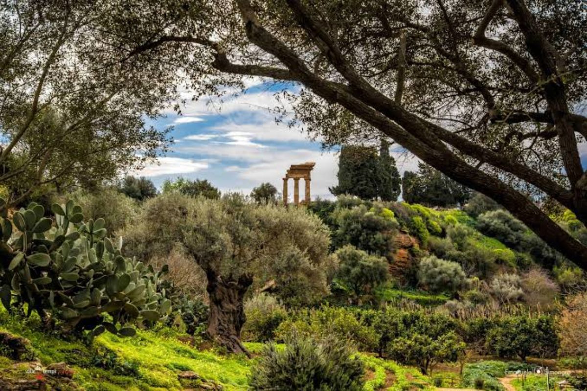 Giardino della Kolymbethra (Agrigento, Sicilia)