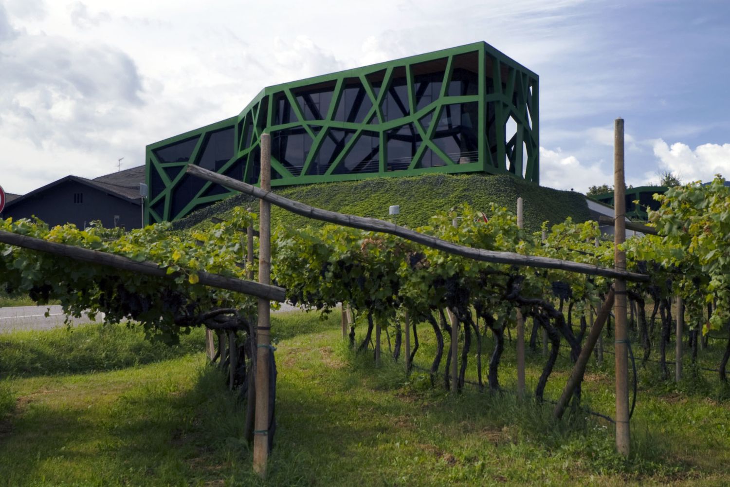 Cantina Tramin