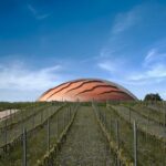 Carapace – Tenuta Castelbuono