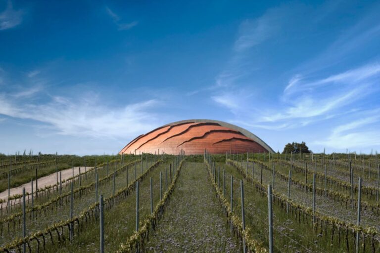 Carapace – Tenuta Castelbuono