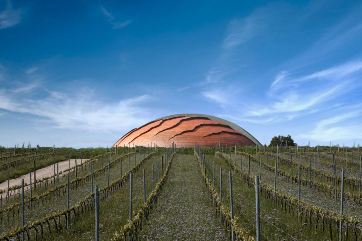 Carapace – Tenuta Castelbuono