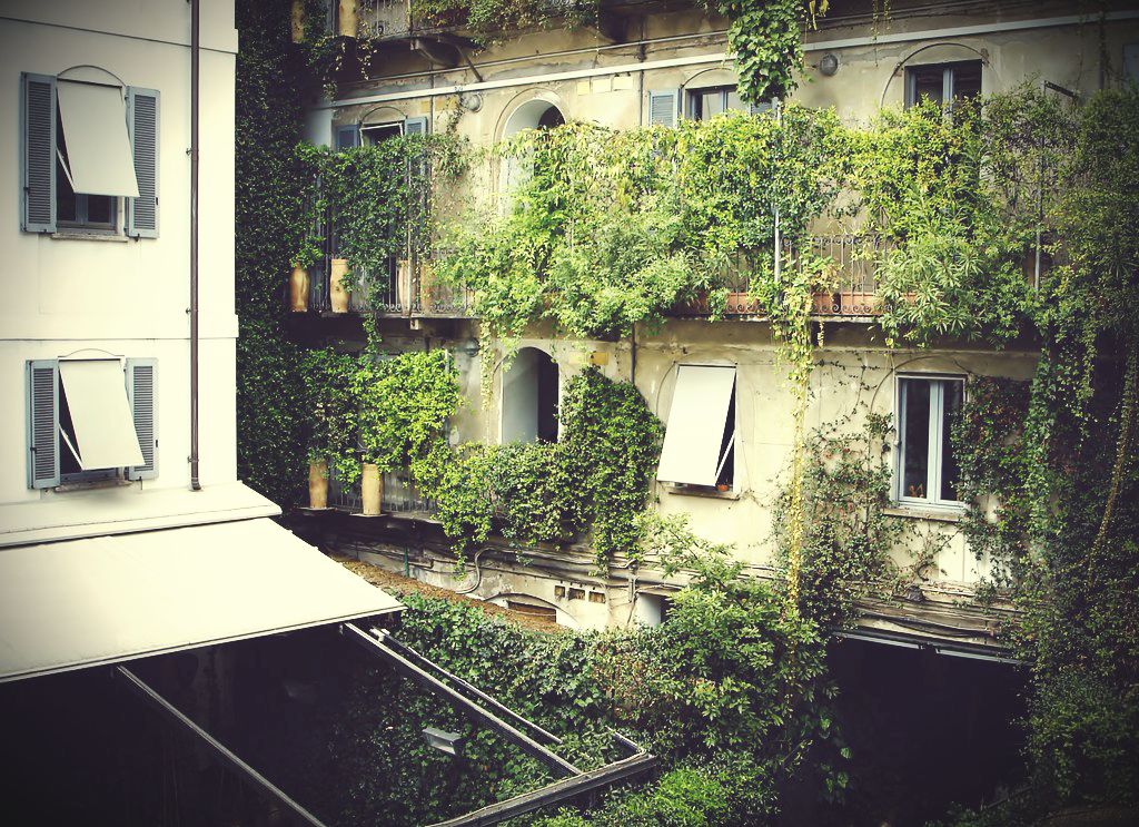 Cortile verde di 10 Corso Como a Milano con piante rampicanti e ringhiere