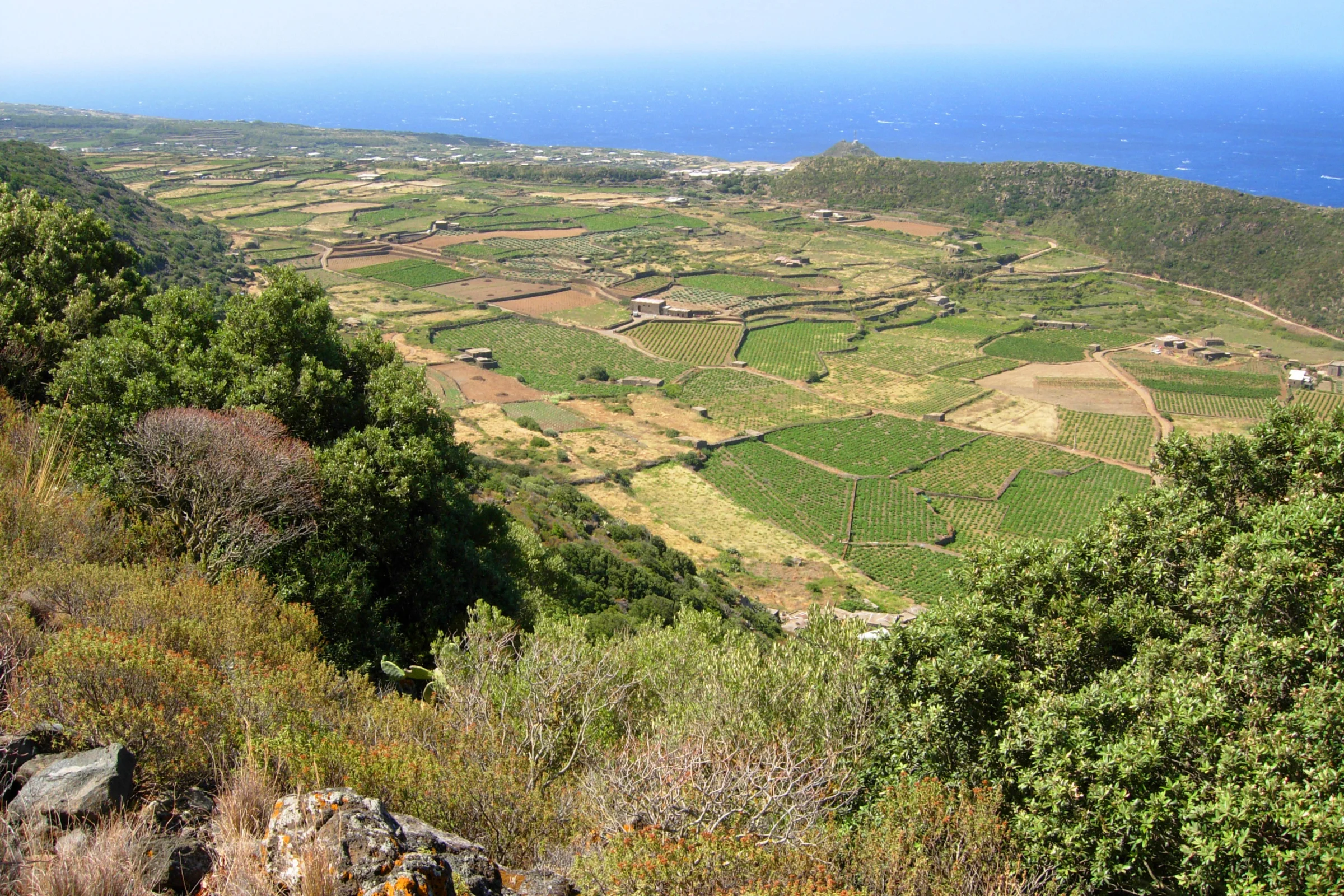 Paesaggio agricolo terrazzato di Pantelleria con vigne e muretti a secco affacciato sul mare