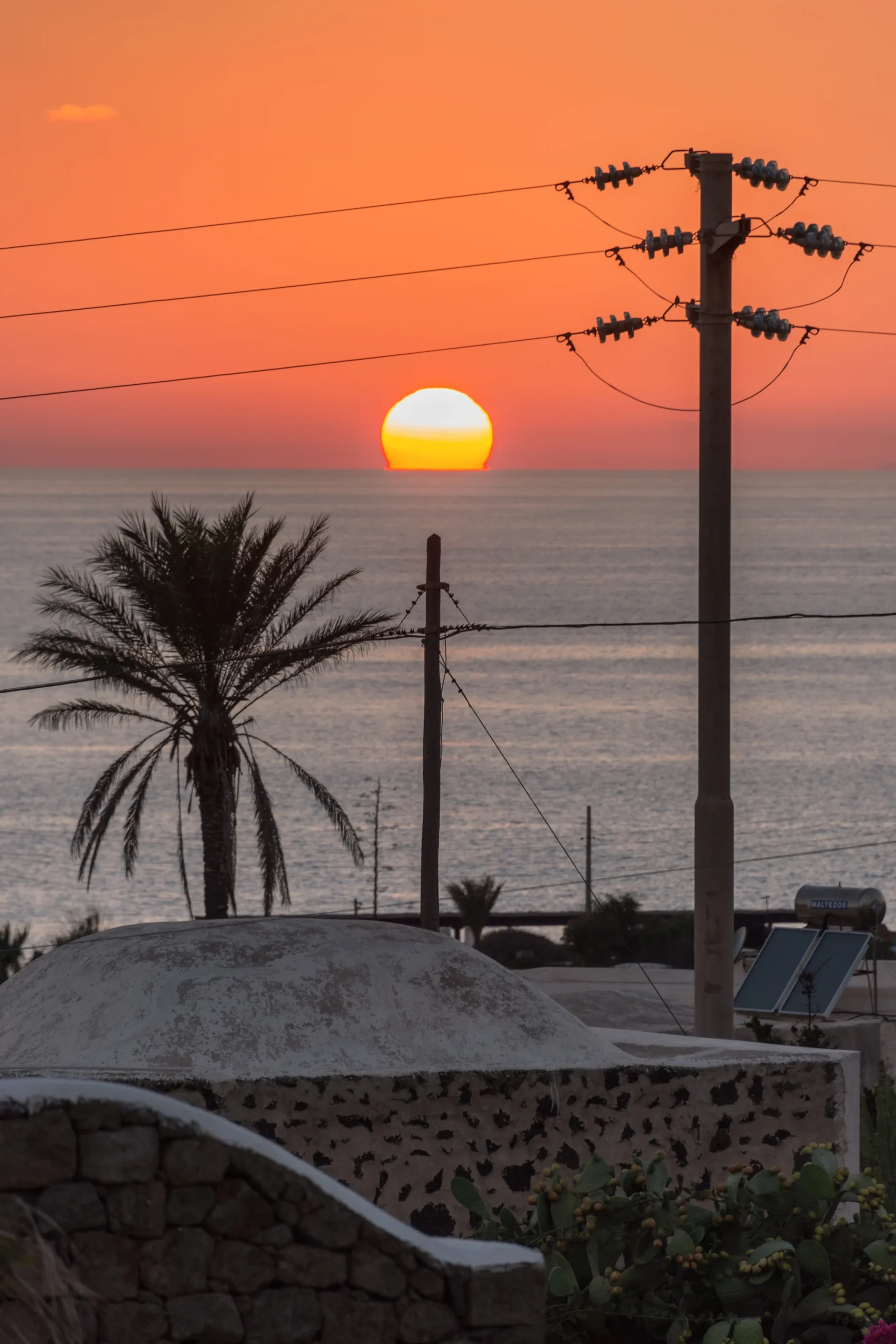 Palma contro il mare all'orizzonte a Pantelleria