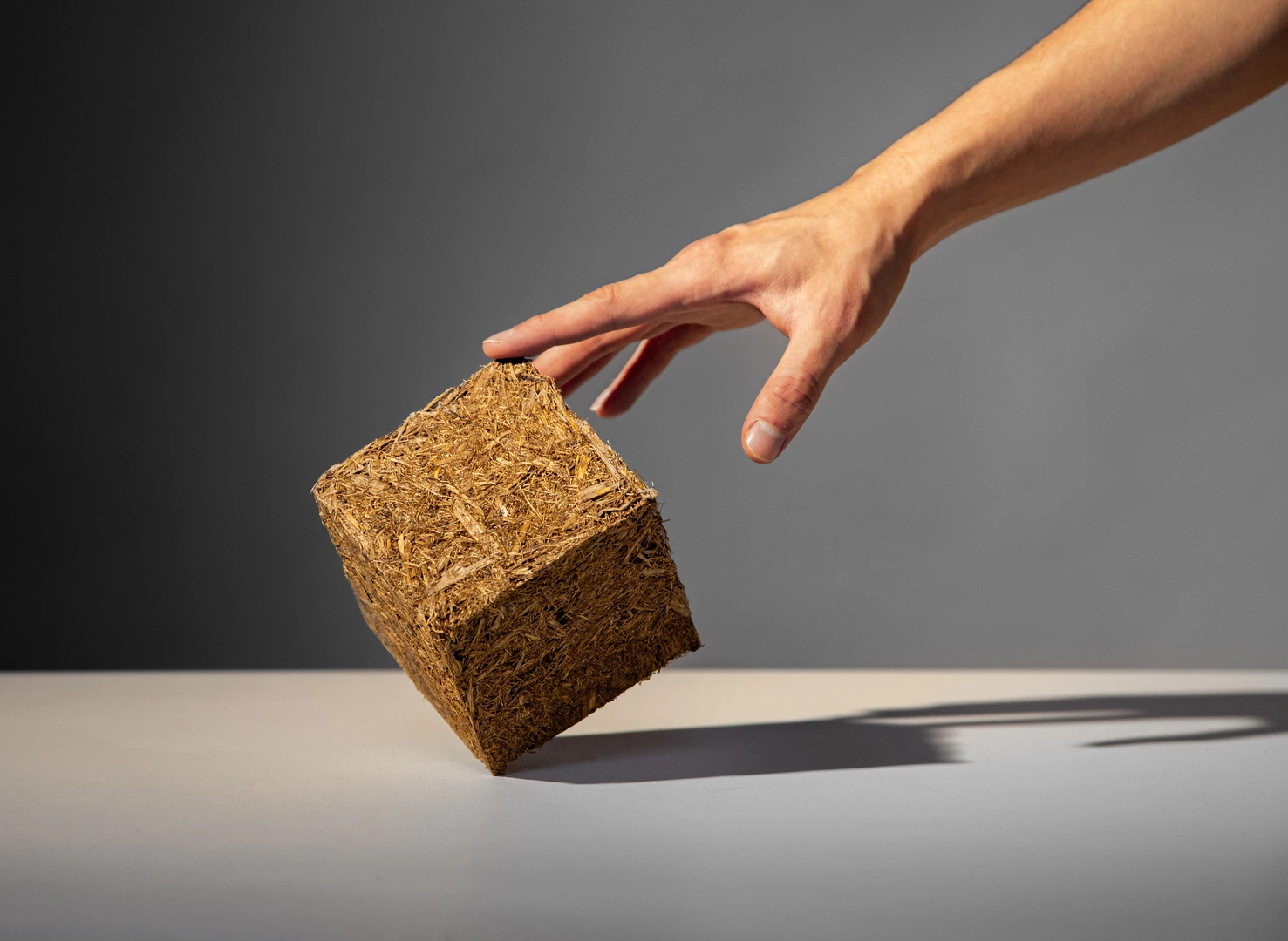 Campione di Sugarcrete: la superficie mostra le fibre vegetali incorporate nel materiale