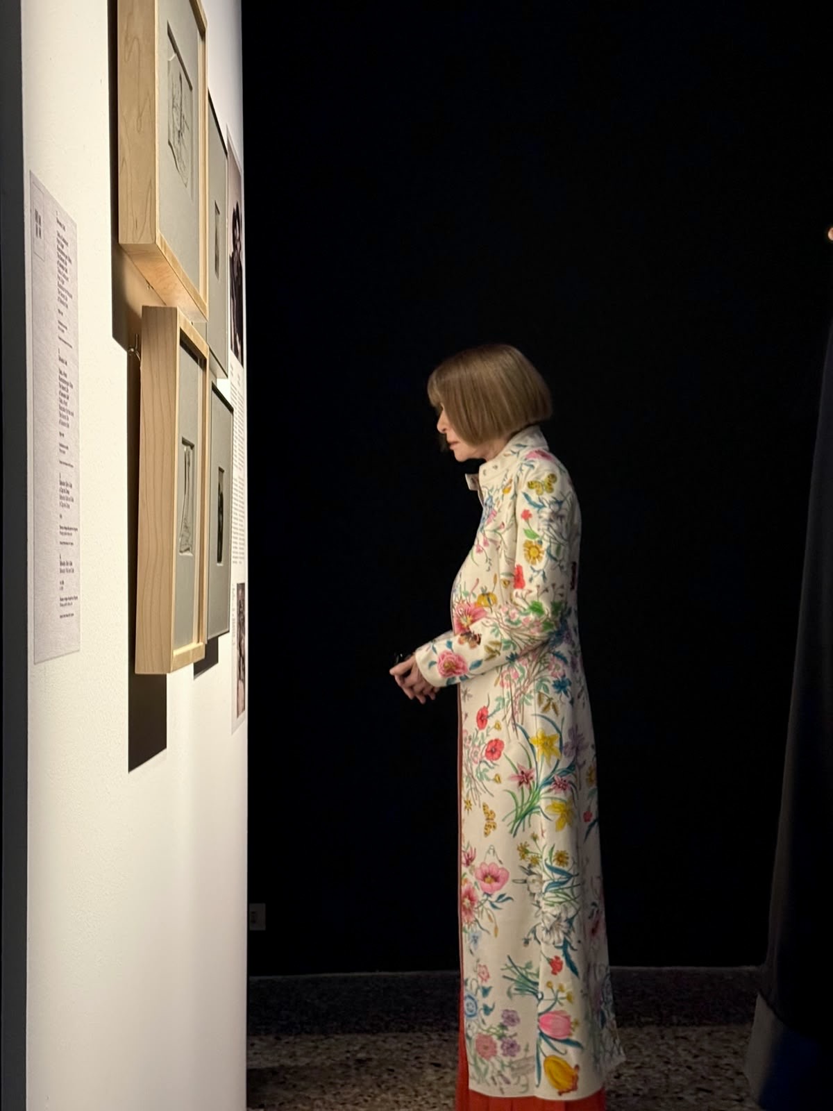 Visitatrice osserva un'opera alla mostra Dalí e la Moda, Palazzo Reale Milano, fondale Novacolor