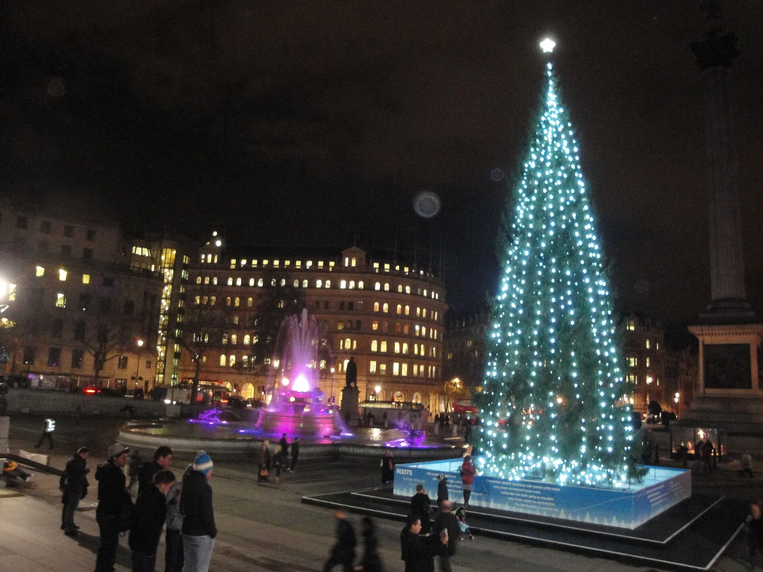 The illuminated Norwegian spruce in Trafalgar Square in London with the National Gallery behind