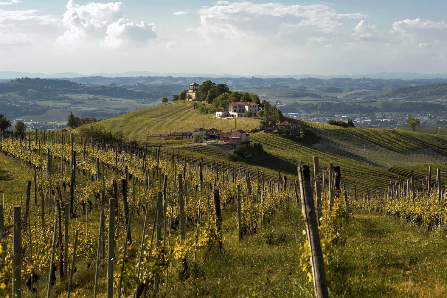 Il paesaggio delle Langhe intorno a Dai Grésy, a Treiso, tra colline, vigneti e boschi